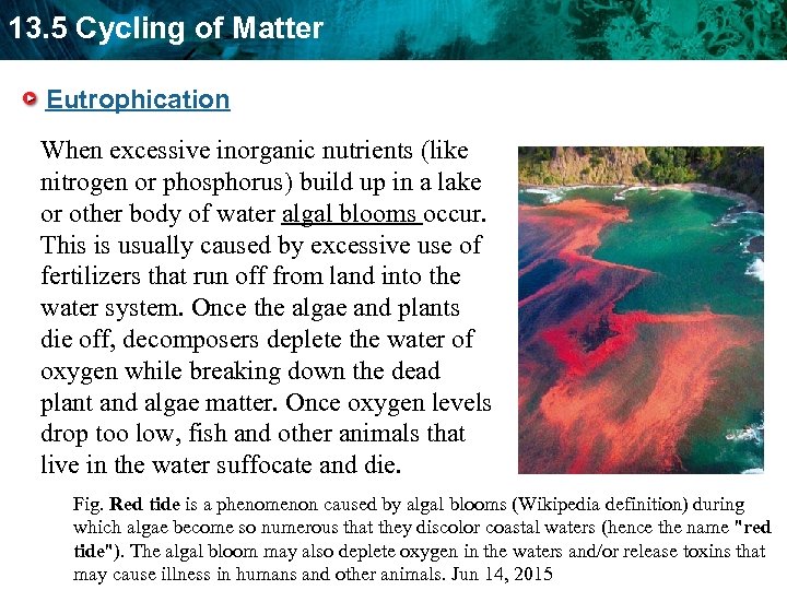 13. 5 Cycling of Matter Eutrophication When excessive inorganic nutrients (like nitrogen or phosphorus)