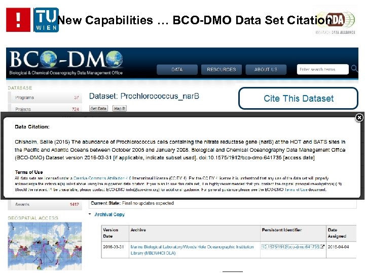 New Capabilities … BCO-DMO Data Set Citation 