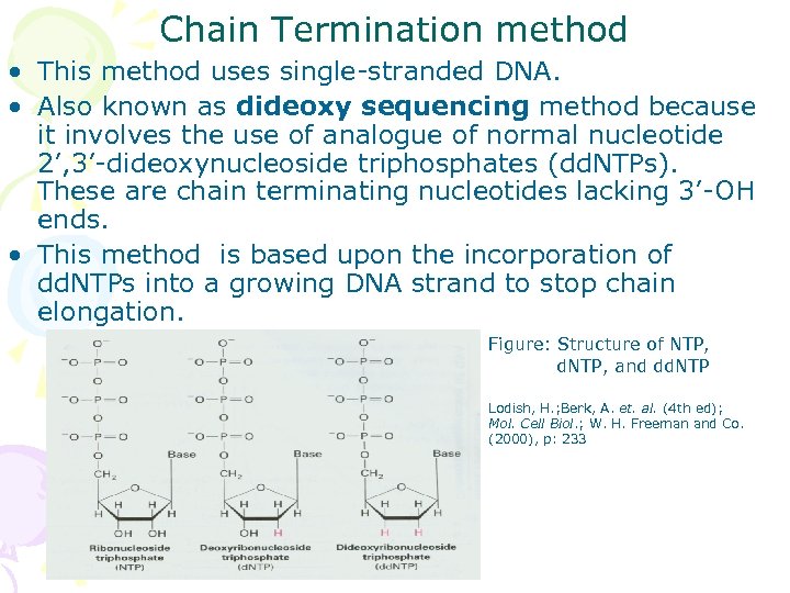 Chain Termination method • This method uses single-stranded DNA. • Also known as dideoxy