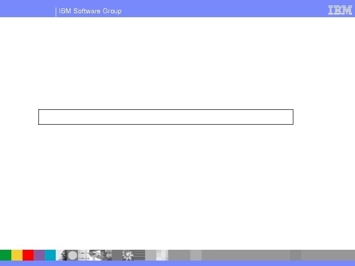 IBM Software Group 
