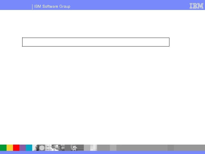IBM Software Group 