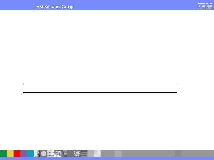 IBM Software Group 