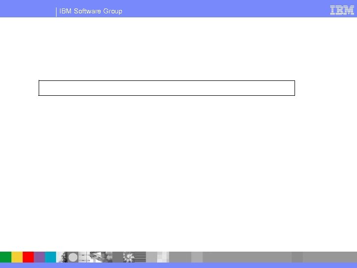IBM Software Group 