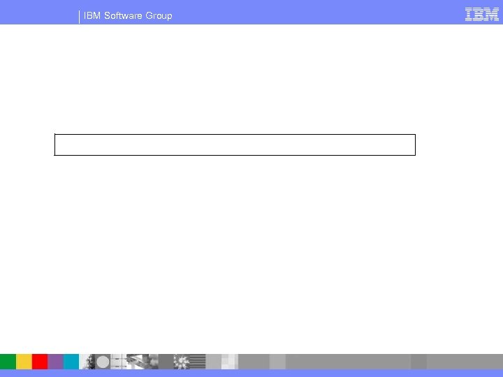 IBM Software Group 