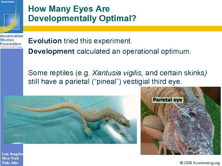 How Many Eyes Are Developmentally Optimal? Evolution tried this experiment. Development calculated an operational