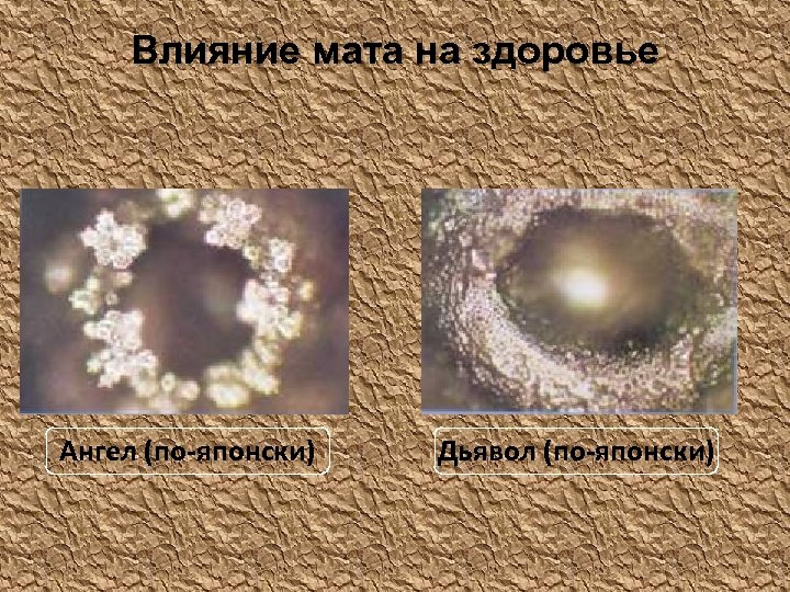 Влияние мата на здоровье Ангел (по-японски) Дьявол (по-японски) 