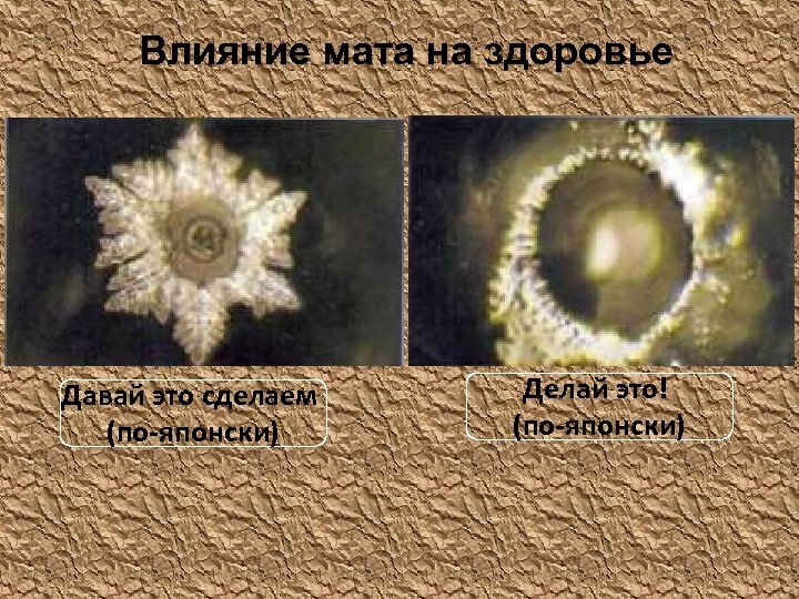 Влияние мата на здоровье Давай это сделаем (по-японски) Делай это! (по-японски) 