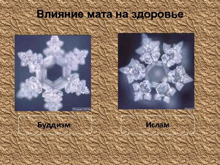 Влияние мата на здоровье Буддизм Ислам 