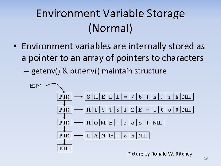 Environment Variable Storage (Normal) • Environment variables are internally stored as a pointer to