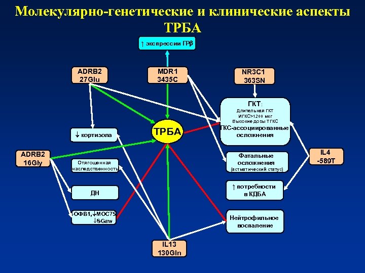 Молекулярно-генетические и клинические аспекты ТРБА ↑ экспрессии ГР ADRB 2 27 Glu MDR 1