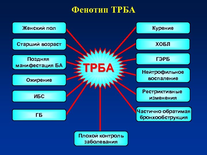 Фенотип ТРБА Женский пол Курение Старший возраст ХОБЛ Поздняя манифестация БА ГЭРБ ТРБА Ожирение