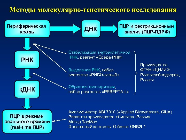 Методы молекулярно-генетического исследования Периферическая кровь РНК ДНК ПЦР и рестрикционный анализ (ПЦР-ПДРФ) Стабилизация внутриклеточной
