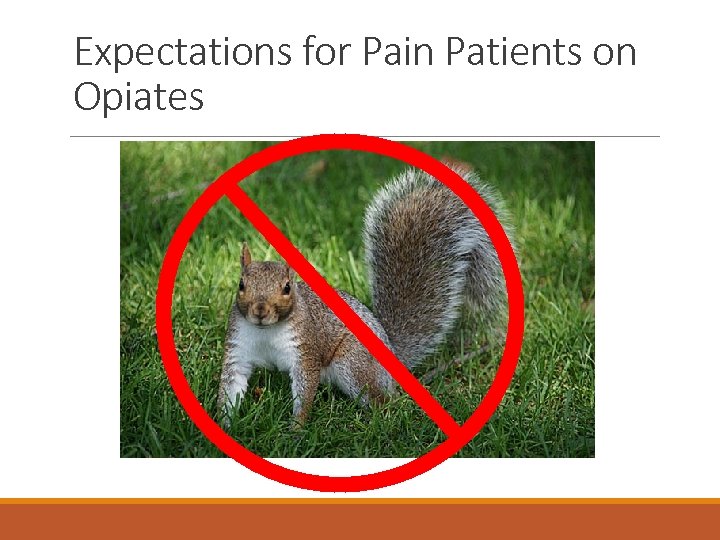 Expectations for Pain Patients on Opiates 