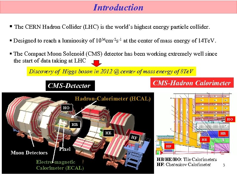 Introduction § The CERN Hadron Collider (LHC) is the world’s highest energy particle collider.