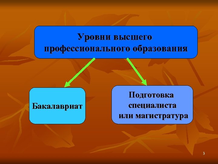 Уровни высшего профессионального образования Бакалавриат Подготовка специалиста или магистратура 3 