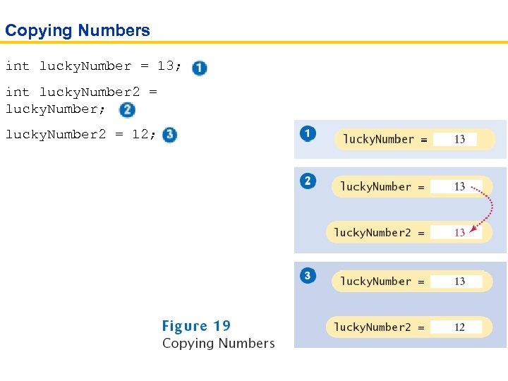 Copying Numbers int lucky. Number = 13; int lucky. Number 2 = lucky. Number;