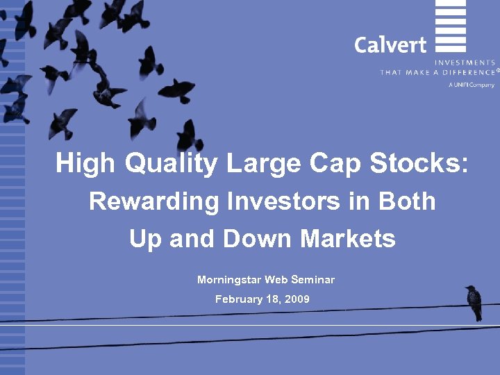 High Quality Large Cap Stocks: Rewarding Investors in Both Up and Down Markets Morningstar