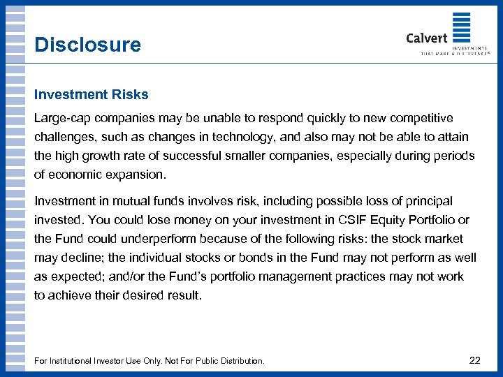 Disclosure Investment Risks Large-cap companies may be unable to respond quickly to new competitive