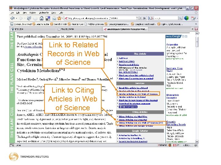 Link to Related Records in Web of Science Link to Citing Articles in Web