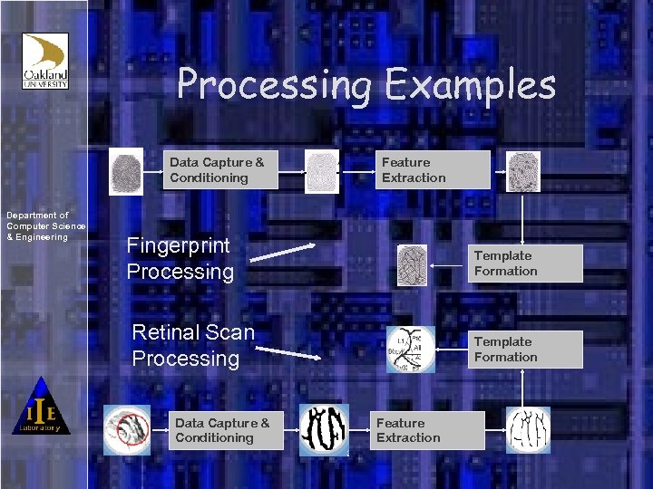 Processing Examples Data Capture & Conditioning Department of Computer Science & Engineering Feature Extraction