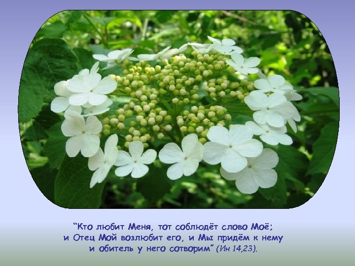 “Кто любит Меня, тот соблюдёт слово Моё; и Отец Мой возлюбит его, и Мы