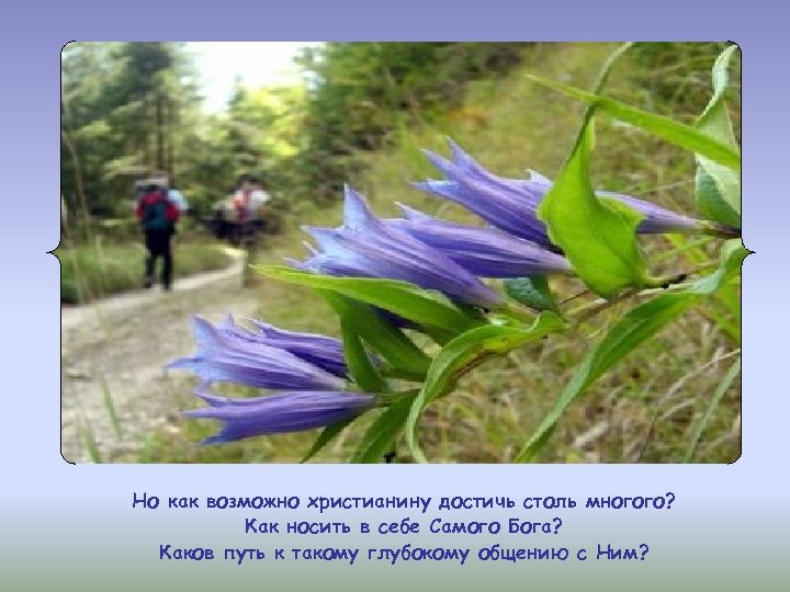 Но как возможно христианину достичь столь многого? Как носить в себе Самого Бога? Каков