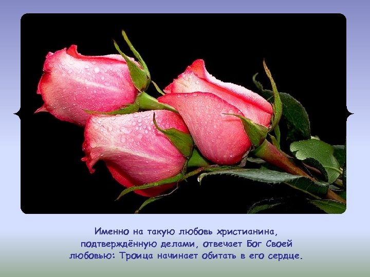 Именно на такую любовь христианина, подтверждённую делами, отвечает Бог Своей любовью: Троица начинает обитать