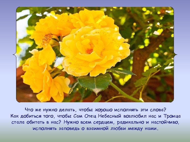 Что же нужно делать, чтобы хорошо исполнять эти слова? Как добиться того, чтобы Сам