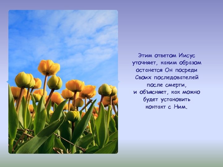 Этим ответом Иисус уточняет, каким образом останется Он посреди Своих последователей после смерти, и