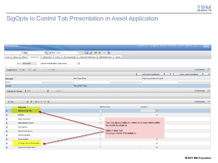 Sig. Opts to Control Tab Presentation in Asset Application © 2009 IBM Corporation 