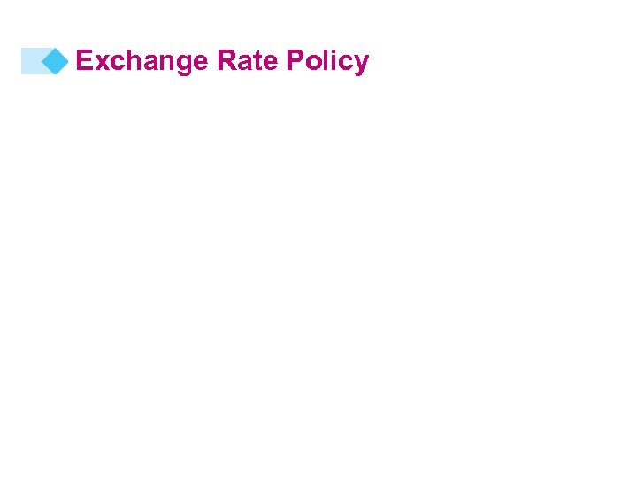 Exchange Rate Policy 