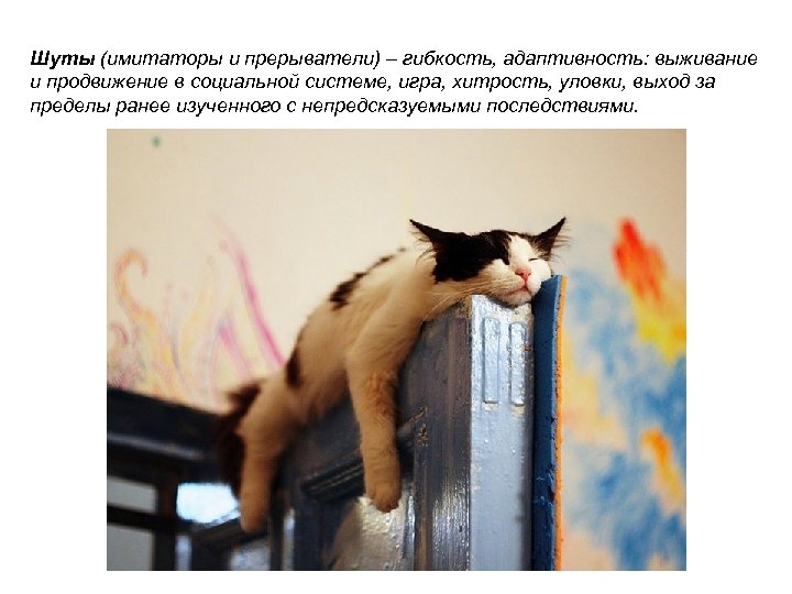 Шуты (имитаторы и прерыватели) – гибкость, адаптивность: выживание и продвижение в социальной системе, игра,