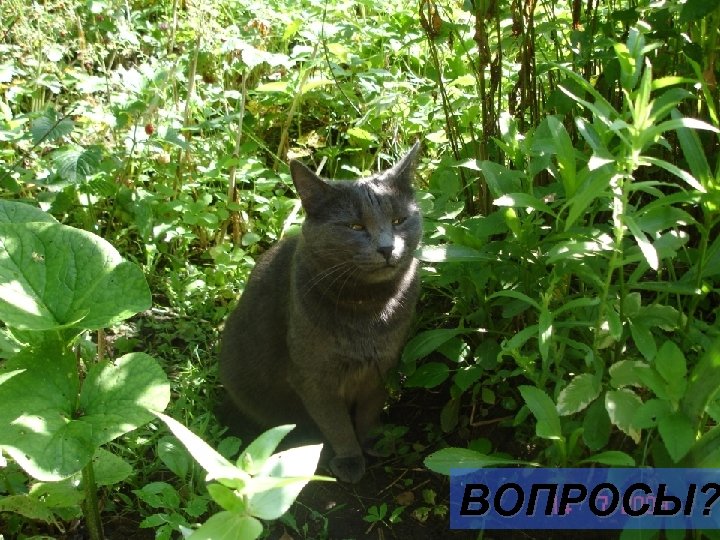 16. 03. 2018 ВОПРОСЫ? 63 