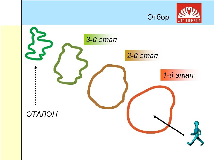 Отбор 3 -й этап 2 -й этап 1 -й этап ЭТАЛОН 