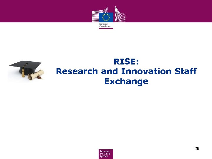 RISE: Research and Innovation Staff Exchange 29 