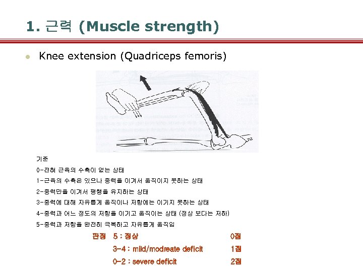 1. 근력 (Muscle strength) l Knee extension (Quadriceps femoris) 기준 0 -전혀 근육의 수축이