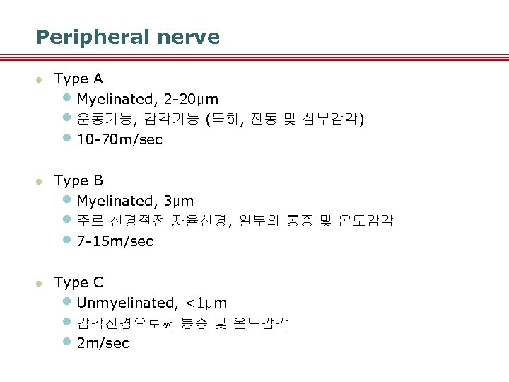 Peripheral nerve l Type A • Myelinated, 2 -20μm • 운동기능, 감각기능 (특히, 진동