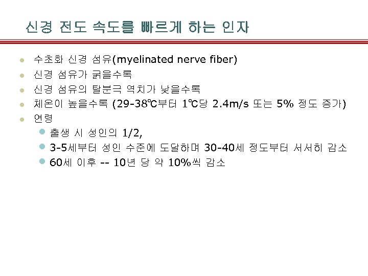 신경 전도 속도를 빠르게 하는 인자 l l l 수초화 신경 섬유(myelinated nerve fiber)