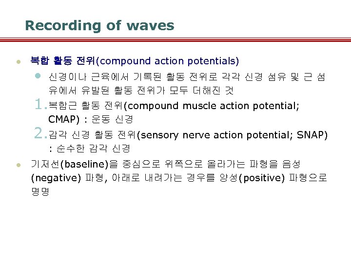 Recording of waves l 복합 활동 전위(compound action potentials) • 신경이나 근육에서 기록된 활동
