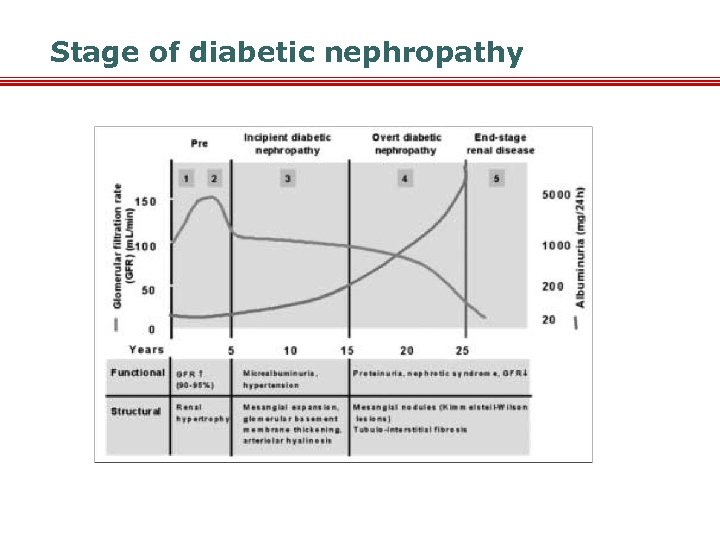 Stage of diabetic nephropathy 