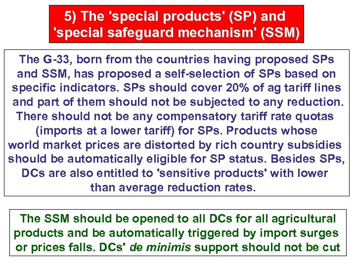 5) The 'special products' (SP) and 'special safeguard mechanism' (SSM) The G-33, born from