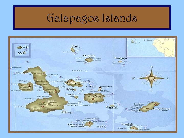  Galapagos Islands 