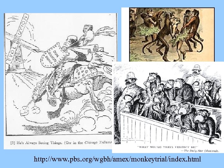 http: //www. pbs. org/wgbh/amex/monkeytrial/index. html 