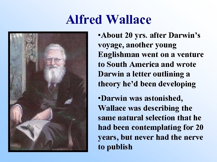 Alfred Wallace • About 20 yrs. after Darwin’s voyage, another young Englishman went on