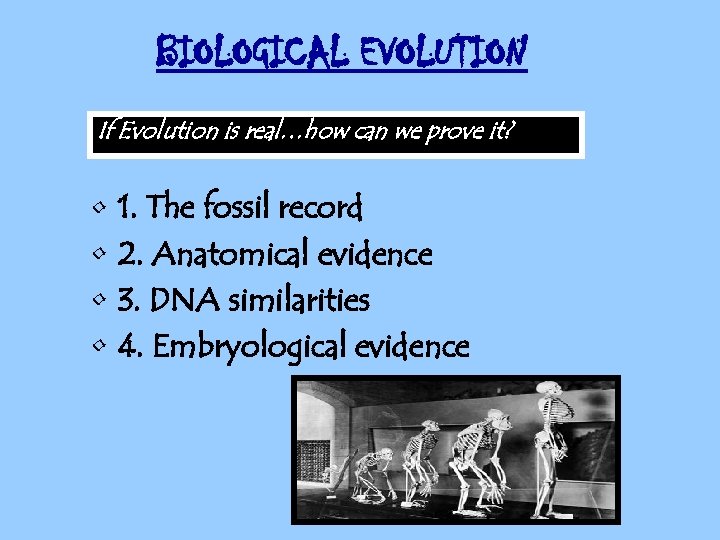 BIOLOGICAL EVOLUTION If Evolution is real…how can we prove it? • • 1. The