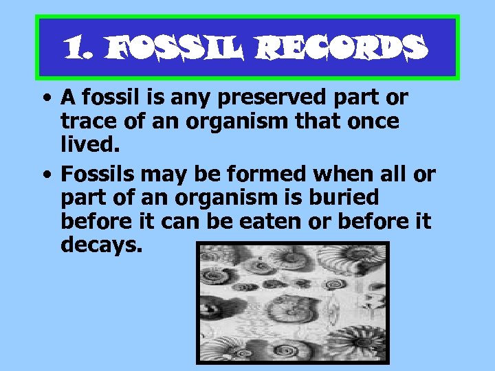 1. FOSSIL RECORDS • A fossil is any preserved part or trace of an