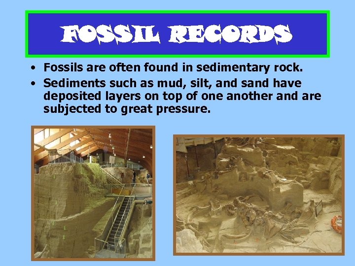 FOSSIL RECORDS • Fossils are often found in sedimentary rock. • Sediments such as