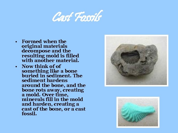 Cast Fossils • Formed when the original materials decompose and the resulting mold is