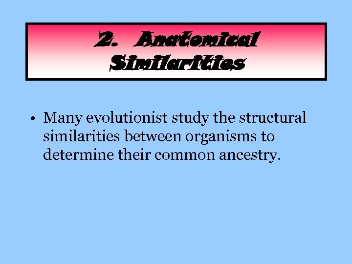2. Anatomical Similarities • Many evolutionist study the structural similarities between organisms to determine