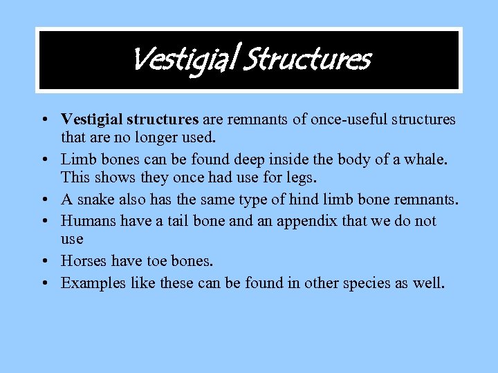 Vestigial Structures • Vestigial structures are remnants of once-useful structures that are no longer